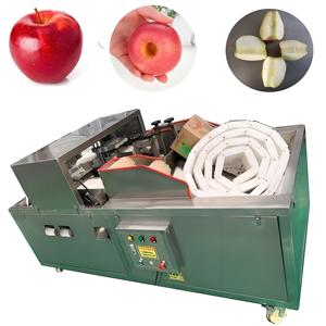 Máquina Deshuesadora de Ciruelas y Melocotones de Acero Inoxidable 304 de Alta Calidad y Gran Capacidad - Product Image 3