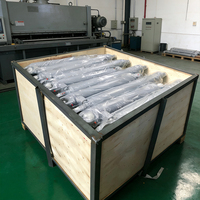 Vérin hydraulique à double effet, alésage 110 mm, tige 55 mm, course 600 mm, pour équipement de levage