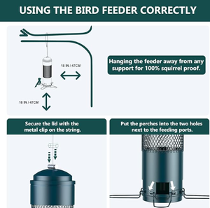 Mangeoire à oiseaux en vente chaude, pour l'extérieur, anti-écureuil, en métal, activée par le poids, pour cardinaux sauvages, pinsons, jaspeaux, chardonnerets, capacité de 3 lb de graines - Product Image 2