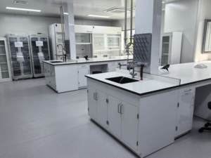 Mesa de Laboratorio para Experimentos, Mueble de Laboratorio de Física y Química Resistente para Hospitales y Universidades, Banco de Trabajo con Fregadero - Product Image 5