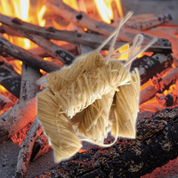 Allume-feu portables en bois naturel et paraffine, résistants au vent et à l'eau, pour barbecue, grillades en extérieur et cuisine de plein air
