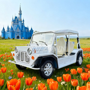 4 Seater <b>Lightweight</b> Electric Utility Vehicle for Resort Park Tour Transportation - Product Image 4