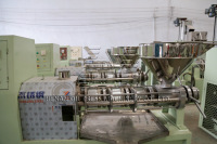 Presse à huile à vis et presse à huile industrielle à haut rendement pour camélia et colza, pour maximiser la production d'huile, unité de presse d'atelier