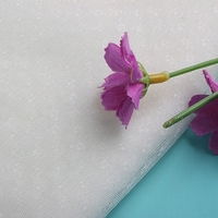 China Textiel Bedrijf 100% Nylon Ademende Lichtgewicht Tutu Ivoor Tule Stof Voor Dames Kleding