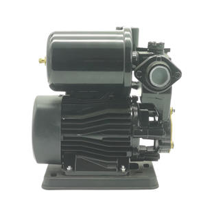 RUIQI 0,5 PS <span class=keywords><strong>Malaysia</strong></span>/Irak Hot Saling Automatische selbst ansaugende Pumpen RD200 Booster Wasserpumpe Bomba De Agua - Product Image 6