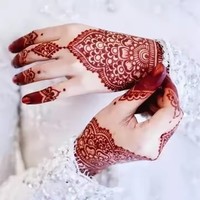Usine en gros de haute qualité Afrique nouveau design pour le modèle de tatouage du corps de la main Mehndi tatouage au henné
