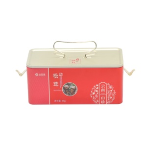 Hot Sale Tin Box With Handle Iron Buckle Rectangular Lunch Tin Box Christmas Candy Packaging Factory Custom Tinplate Box