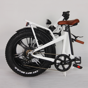 Vélo électrique à pneus larges de 20 pouces, fabriqué en Europe, sans droits de douane anti-dumping, vélo électrique 36V/48V 14Ah G2617-AZF, moteur arrière, nouveau modèle, vélo à assistance électrique - Product Image 3