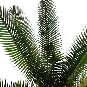 Arbre artificiel de sago cycas de haute qualité, fleurs <span class=keywords><strong>LED</strong></span> d'intérieur, bonsaï avec feuilles en plastique, arbustes de 60 cm pour la décoration de Noël - Product Image 4