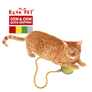 Toptan <span class=keywords><strong>Pet</strong></span> tedarikçisi ücretli akıllı top interaktif kedi oyuncak - Product Image 5