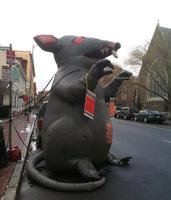 Publicité personnalisée en gros n rat gonflable géant promotionnel à vendre