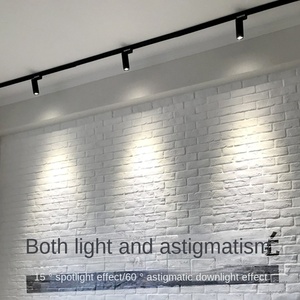 Éclairage sur rail réglable 20W LED Corps en aluminium de style ferme avec éclairage sur rail architectural CRI 90 à base AR111 - Product Image 3