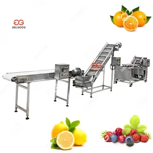 Gelgoog Commercial Banana Washer Olive Fruit Small Size Fruits Bubble Wash Machine Fruit Cleaning Machine