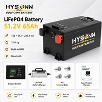 Paket Baterai Golf Cart LiFePO4 48V 51.2V 65Ah IP65 Daya Tinggi Siklus Dalam untuk Mobil Golf Listrik 2, 4, dan 6 Kursi, Output Stabil, OEM