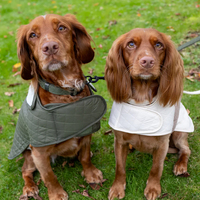 Vêtements d'hiver pour chiens : Manteaux pour Teckels et Boxers, tailles ajustables, personnalisables pour grossistes
