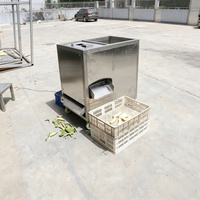 Automatische elektrische machine voor het verwijderen van de schil van groene plantains, plantainschiller en -snijmachine voor bananenverwerking