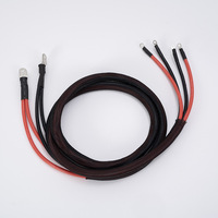 Kabel Harness Daya Arus Tinggi Merah Hitam dengan Terminal Cincin yang Dilapisi Selubung Anyaman untuk Koneksi Peralatan Tenaga Baterai