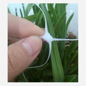 Filet de soutien robuste pour plantes, légumes et fleurs, <span class=keywords><strong>treillis</strong></span> pour concombres - Product Image 6