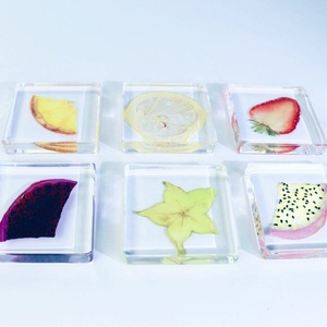 Reçine sanat özelleştirilmiş kuru meyveler reçine çilek gömme numune böcek/bitki örnekleri - Product Image 1