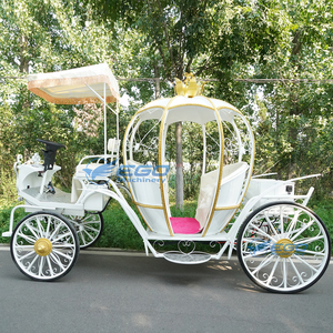 Carruaje de Calabaza Blanco, Carruaje de Princesa, Carruaje de Calabaza Eléctrico, Carruaje de Boda, Carro de Boda Eléctrico de Alta Calidad - Product Image 2