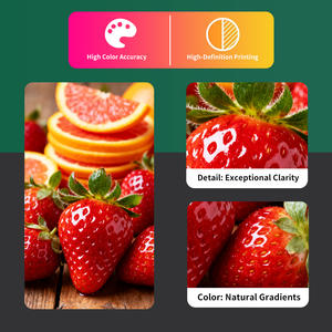 Cartuchos de Tóner Compatibles con Color TNP79 <span class=keywords><strong>TNP</strong></span> <span class=keywords><strong>79</strong></span> <span class=keywords><strong>TNP</strong></span>-<span class=keywords><strong>79</strong></span> de Calidad Perfecta para Konica Minolta Bizhub C3350i C4050i C3350 C4050 - Product Image 3