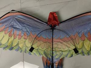 <span class=keywords><strong>Cerf</strong></span>-<span class=keywords><strong>volant</strong></span> perroquet 3D et nouveaux cerfs-volants <span class=keywords><strong>d</strong></span>'oiseaux de conception - Product Image 5