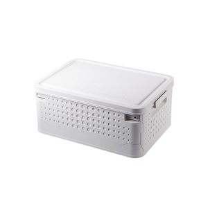 Plastic Storage Plastic Multifunctional Big Size Large Capacity Organizer Other Plastic Storage Box