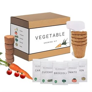 Kit da giardino interno per il giardinaggio domestico con i bambini per piantare Broccoli carote pomodoro zucchine-uso del pavimento - Product Image 1