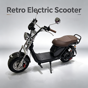 Scooter électrique tout-terrain à pneus larges pour adultes avec siège, mini-moto électrique, cyclomoteur, vente en gros - Product Image 1