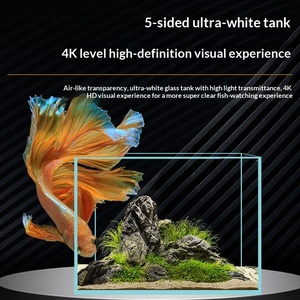 Acquario in Vetro Ultra-Trasparente su Misura con Cinque Linee Dorate per Soggiorno, Uso Domestico, Piante Acquatiche, <span class=keywords><strong>Tartarughe</strong></span>, Varie Dimensioni - Product Image 4