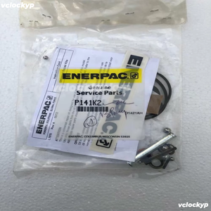 Kit de reparación Enerpac P141K2 para bombas hidráulicas manuales P141 &amp;   P142 - Product Image 3