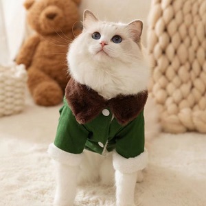 Manteau rembourré en coton pour chat mignon, vert avec col marron, vêtements chauds pour animaux de compagnie pour l'automne et l'hiver - Product Image 1