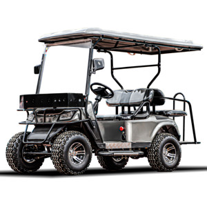 Chất lượng hàng đầu Mini Golf Cart xe đẩy với 2 4 6 chỗ ngồi Golf Cart - Product Image 6