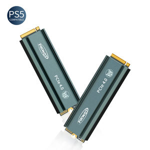 7400MB/s 500GB 1TB 2TB ฮีทซิงค์สําหรับเล่นเกมภายใน SSD <span class=keywords><strong>M</strong></span>.2 2280 Gen4 NVMe PCIe 4.0 ฮาร์ดไดรฟ์โซลิดสเตตสําหรับ PS5 คอนโซล - Product Image 6