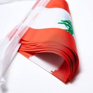 Outdoors Lebanon <b>Flags</b> Small Mini Pennant String Banner Festival Decorations 62.3 Feet 30 <b>Flags</b> Aluminum Flagpoles Polyester - Product Image 2