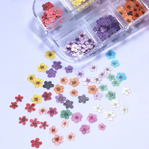 12 Rejillas de Adornos de Uñas con Flores 3D Coloridas, Ultrafinas, de Resina y Pulpa de Madera, Pequeñas Margaritas, Accesorios de Decoración para Manicura DIY - Product Image 6