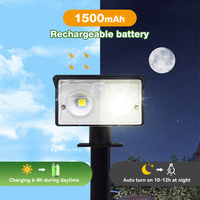 Lumières de décoration de jardin d'arrière-cour certifiées CE Décoration Spots solaires Spot extérieur Led Lights pour passerelle cour jardin allée
