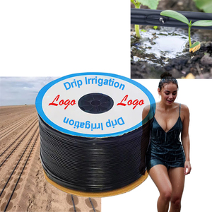 Système complet d'irrigation par bandelette <span class=keywords><strong>goutte</strong></span>-<span class=keywords><strong>à</strong></span>-<span class=keywords><strong>goutte</strong></span> <span class=keywords><strong>pour</strong></span> l'agriculture, modèle 1 hectare, fabricants chinois de tuyaux d'irrigation <span class=keywords><strong>pour</strong></span> l'agriculture - Product Image 1