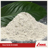 Bubuk Magnesium Oksida Terbakar Ringan untuk Pakan Hewan Pakan Unggas