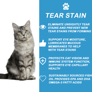 Nutrition pour animaux de compagnie de marque privée Supplément pour taches de larmes de chat Mastics doux Protège les yeux Système immunitaire Supprimer les taches Supplément pour chat - Product Image 3