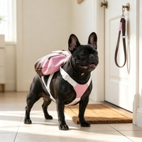 Harnais de voyage extérieur OEM en maille polyester/nylon respirante, imperméable et réglable, durable et personnalisable pour chiens de taille moyenne - Vente en gros
