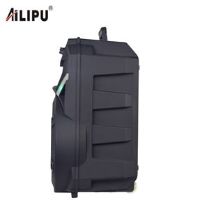 ลำโพงคาราโอเกะพกพาพร้อมระบบเสียงสเตอริโอคลาสสิคขนาด 12 นิ้ว เบสหนัก เสียงสะท้อนแบบ <span class=keywords><strong>Echo</strong></span> Dot รุ่นที่ 4 พร้อม TWS - Product Image 4