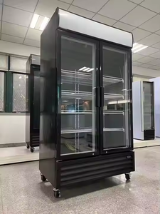 Двухдверный холодильник Pepsi для коммерческого использования, витринный, с прямым охлаждением, холодильное оборудование - Product Image 4