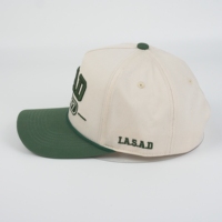 Gorra de Béisbol Deportiva de Invierno con Patrón de Espiga y Bordado de Letras, Estilo Urbano, 100% Algodón, Unisex