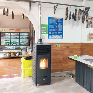 Poêle à granulés de <span class=keywords><strong>bois</strong></span> moderne Fangran 6 kW avec roues, chauffage portable, plaque de cuisson, télécommande pour hôtel et garage 30-60 m² - Product Image 2