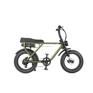 Vélo électrique à pneus larges 20 pouces avec batterie au lithium 48V 20AH, moteur sans balais, cadre en alliage d'aluminium, porte-bagages arrière, 250W/500W/750W - Product Image 1