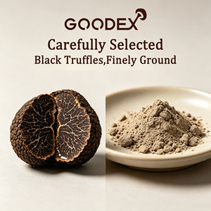 Trufa Negra GOODEX / Trufa Negra de Invierno <span class=keywords><strong>Tuber</strong></span> <span class=keywords><strong>melanosporum</strong></span> Directo de Fábrica - Product Image 4