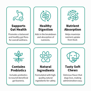 OEM Private Label 120 Kauwtabletten Probiotica voor Honden ter Ondersteuning van de Immuniteit en Darmmicrobiota met Pompoen - Product Image 4