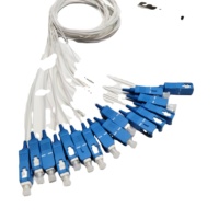 1x16 Mini PLC Fiber Optic Splitter with 13.5dB Insertion Loss & 55dB Return Loss for FTTH (OEM Manufacturing Support)