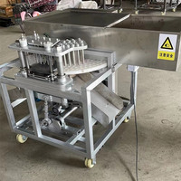 Usine de traitement automatique des dattes équipement de dénoyautage de palmier dattier cerise olive arabe jujube machine à enlever les graines prix